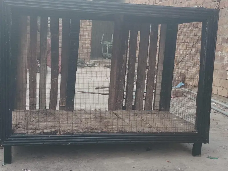 Wooden Cage — photo 4