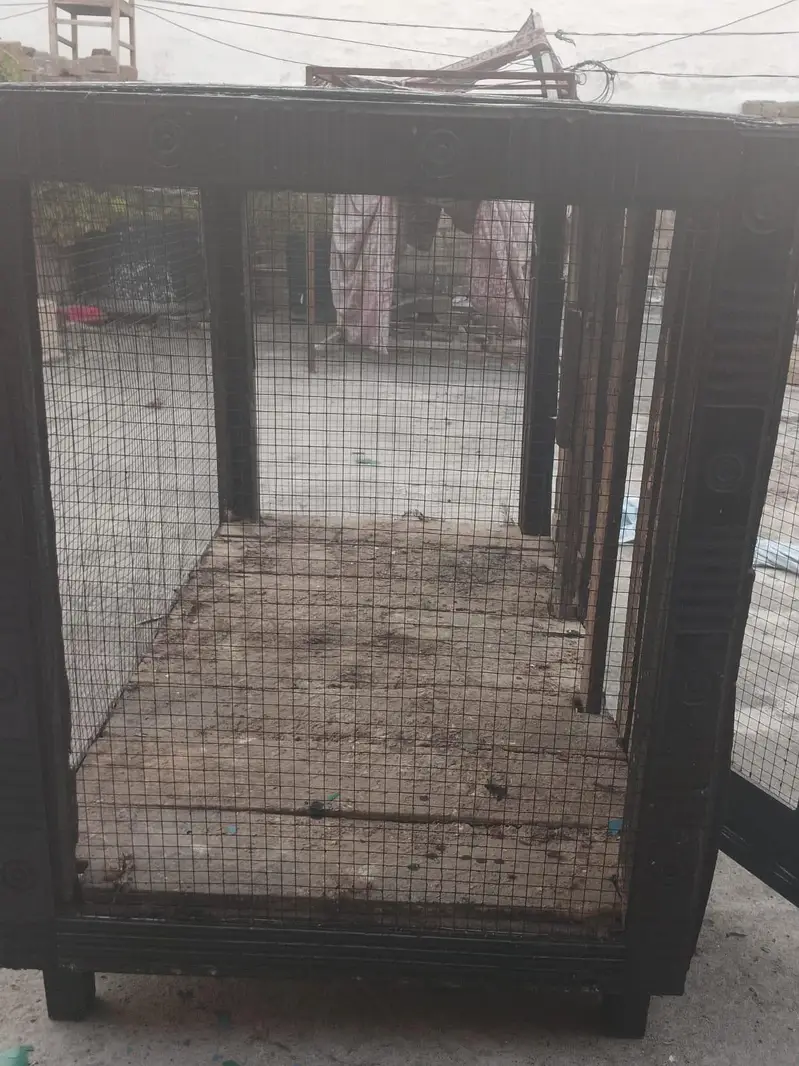 Wooden Cage — photo 5