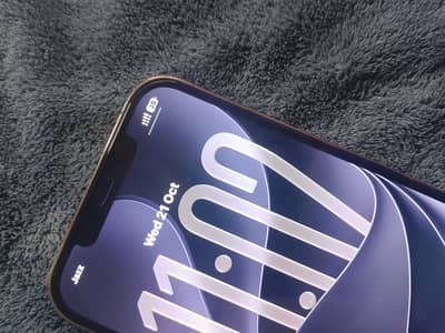 Apple iPhone 12 Pro Max