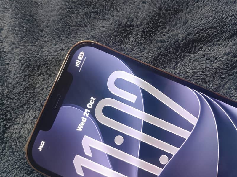 Apple iPhone 12 Pro Max 0