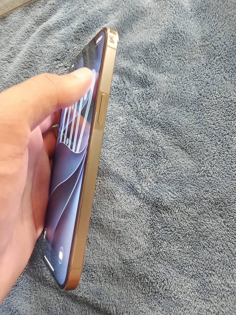 Apple iPhone 12 Pro Max 2