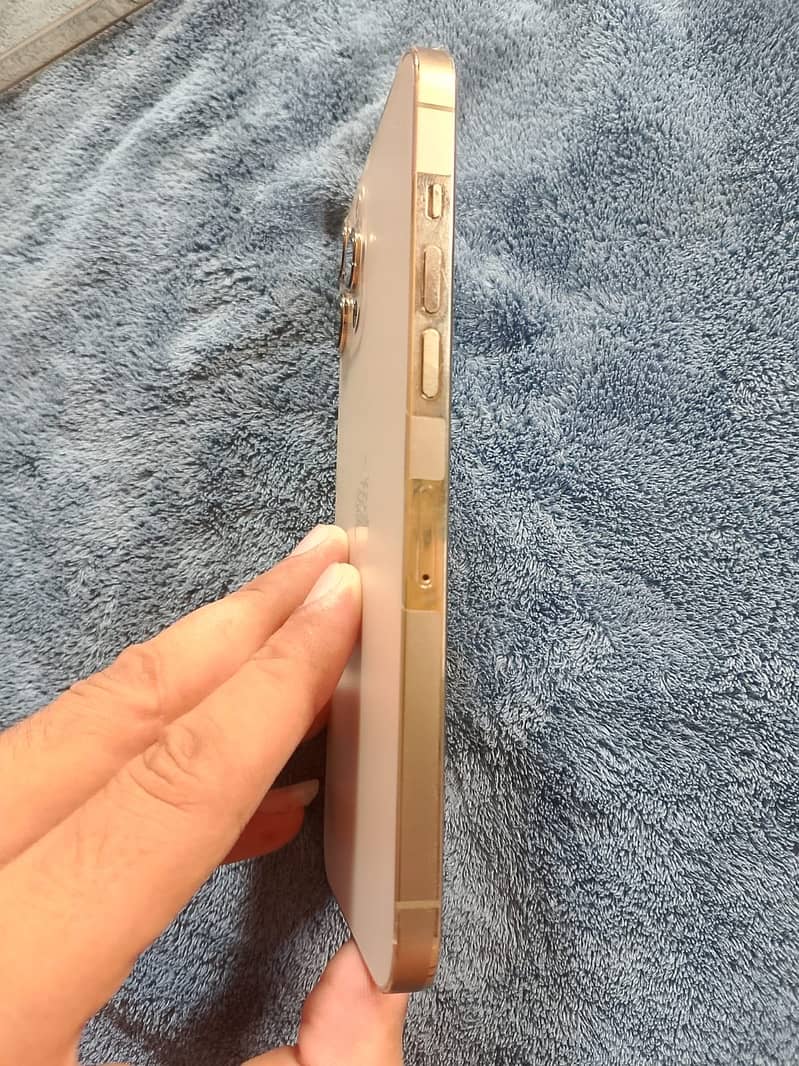 Apple iPhone 12 Pro Max 4