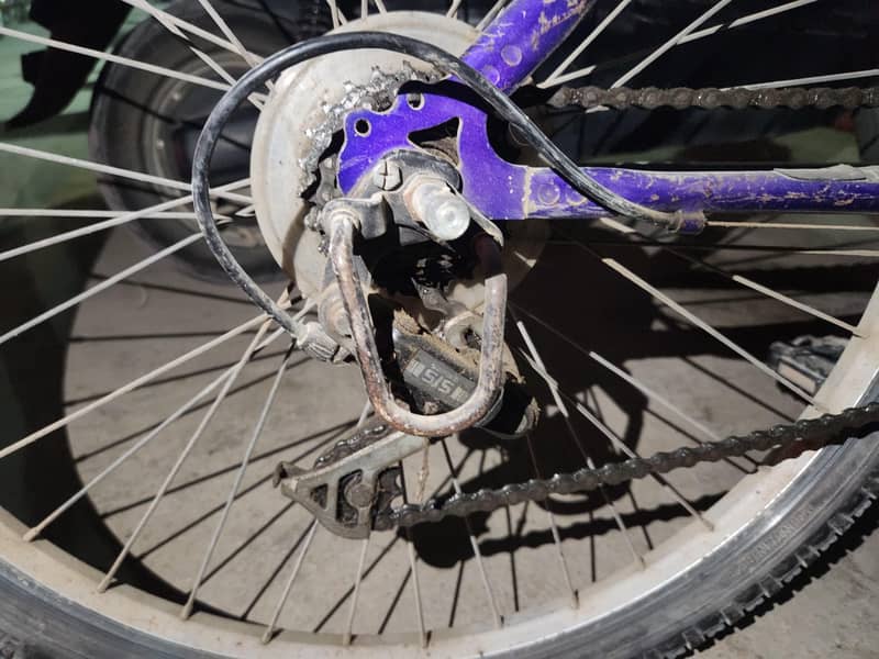 Malaysian cycle 0