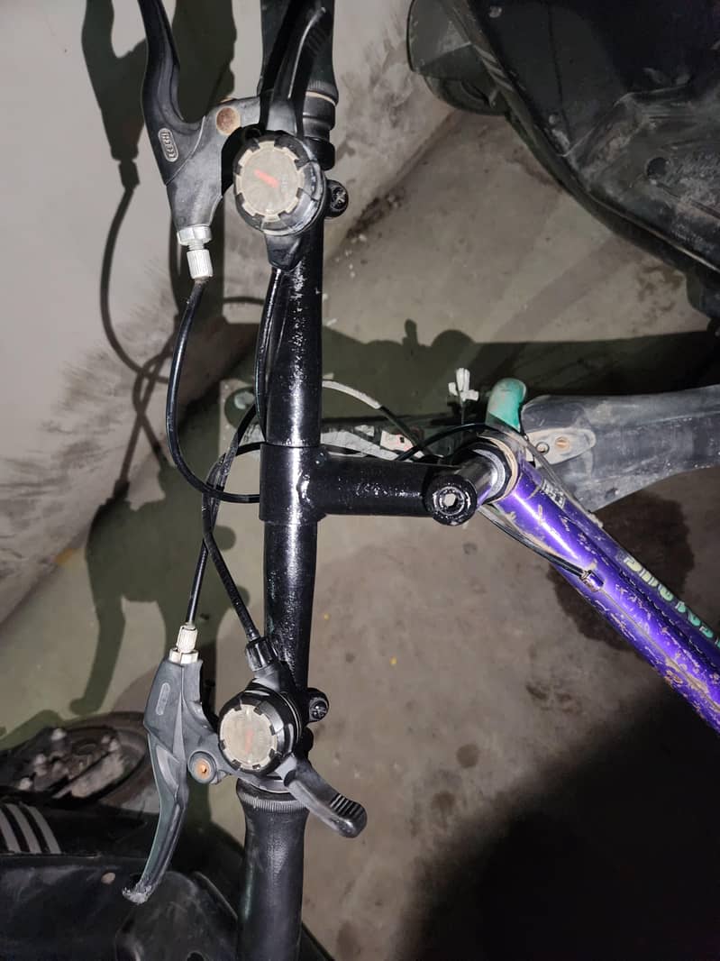 Malaysian cycle 1