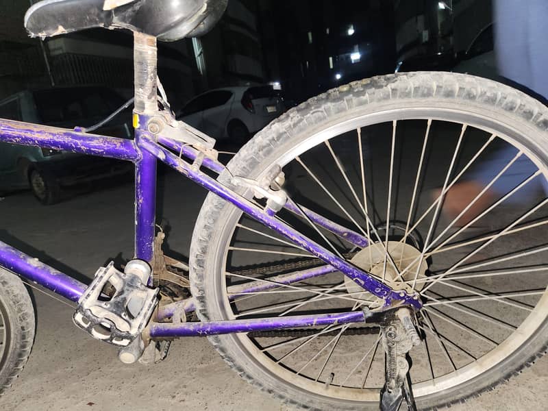 Malaysian cycle 2