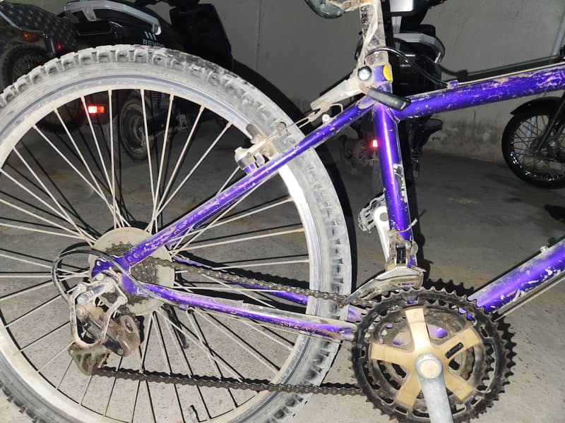 Malaysian cycle 3