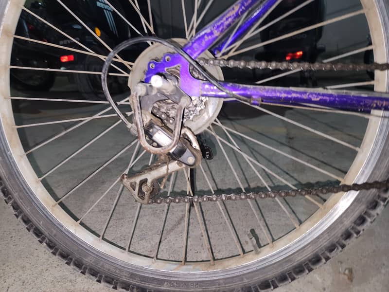 Malaysian cycle 5