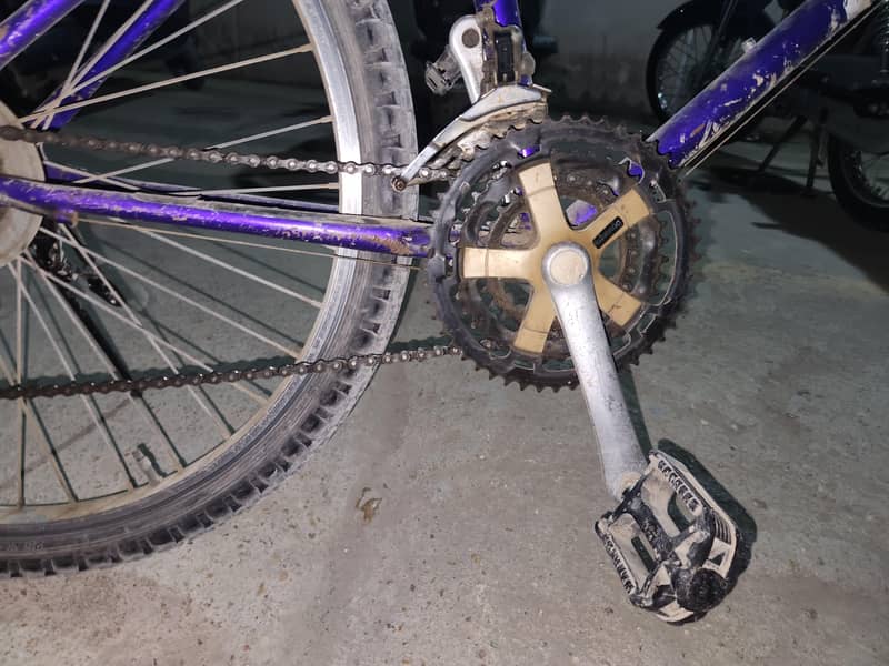 Malaysian cycle 6
