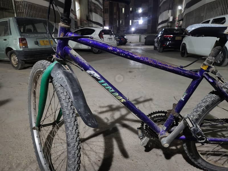 Malaysian cycle 8