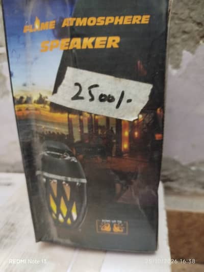 Flame light blue tood speaker