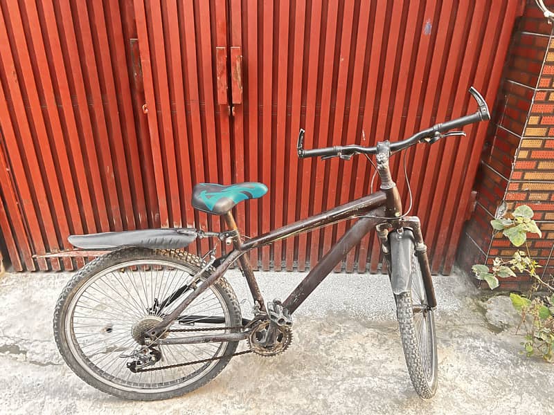 Morgan Cycle 1
