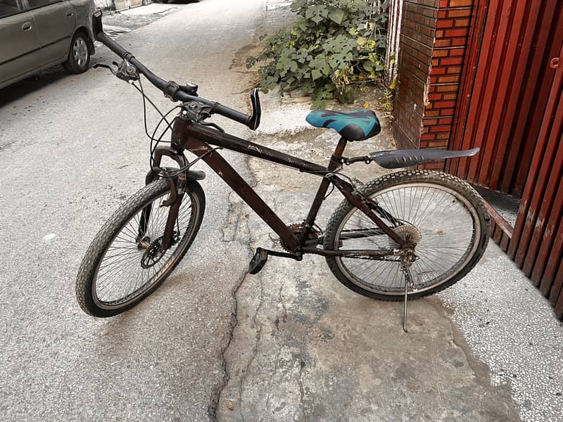 Morgan Cycle 2