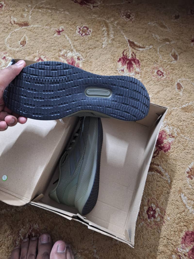 New shoes 2