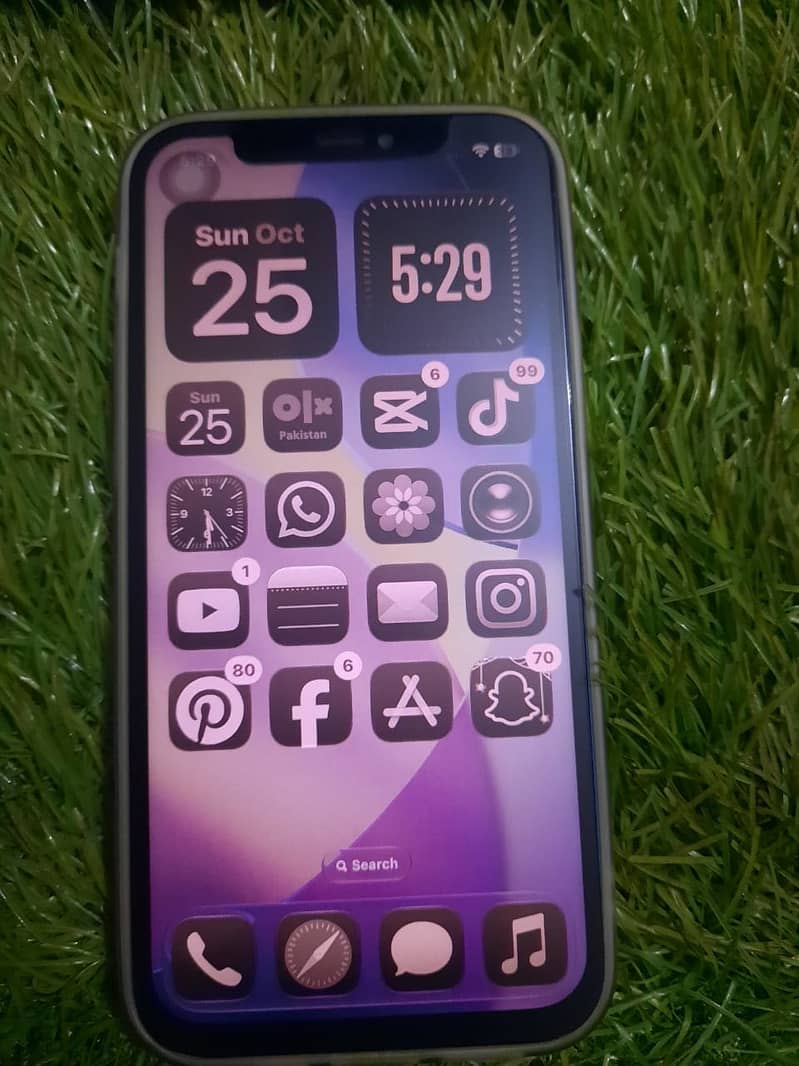 Apple iPhone 12 5