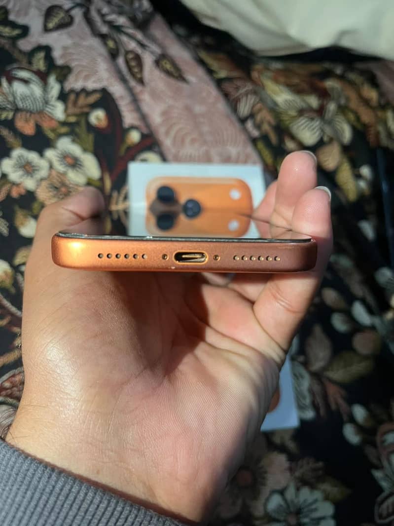 Apple iPhone 17 Pro Max 0