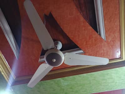 solar  fan only condition 10 by 10 good quality