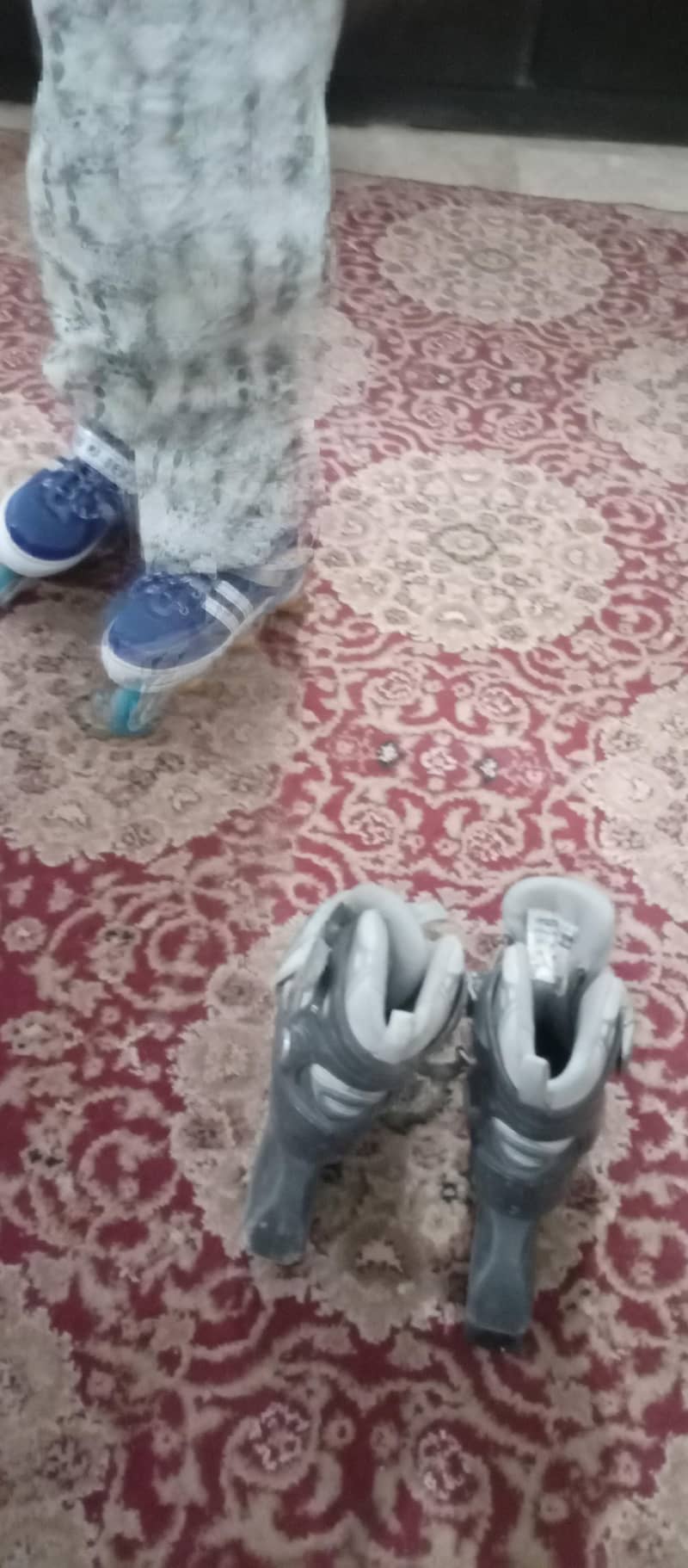 Skating Shoes 2
