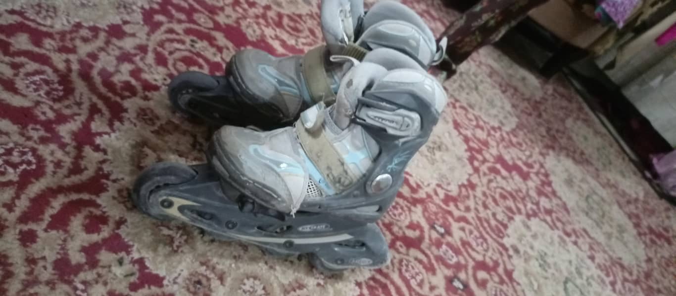 Skating Shoes 3