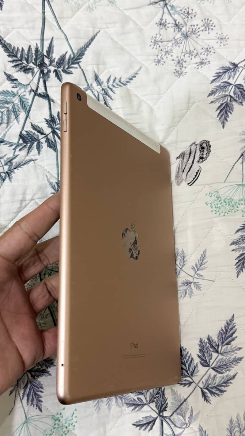 Apple iPad 6th generation 1