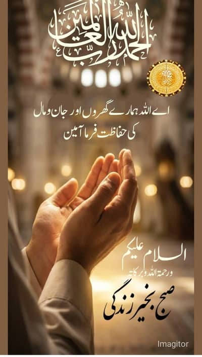 03008074332 call or what's app only for cycle