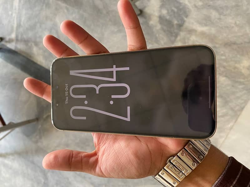 Apple iPhone 14 Pro Max 1
