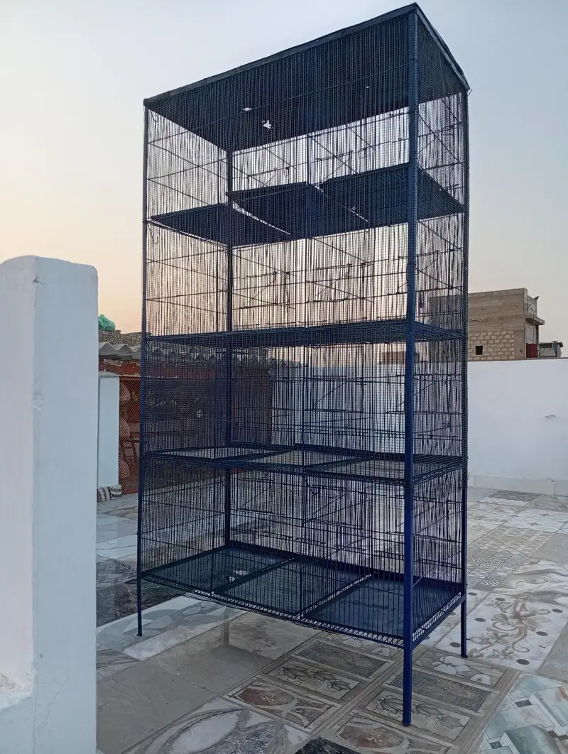 12porshion cage — photo 3