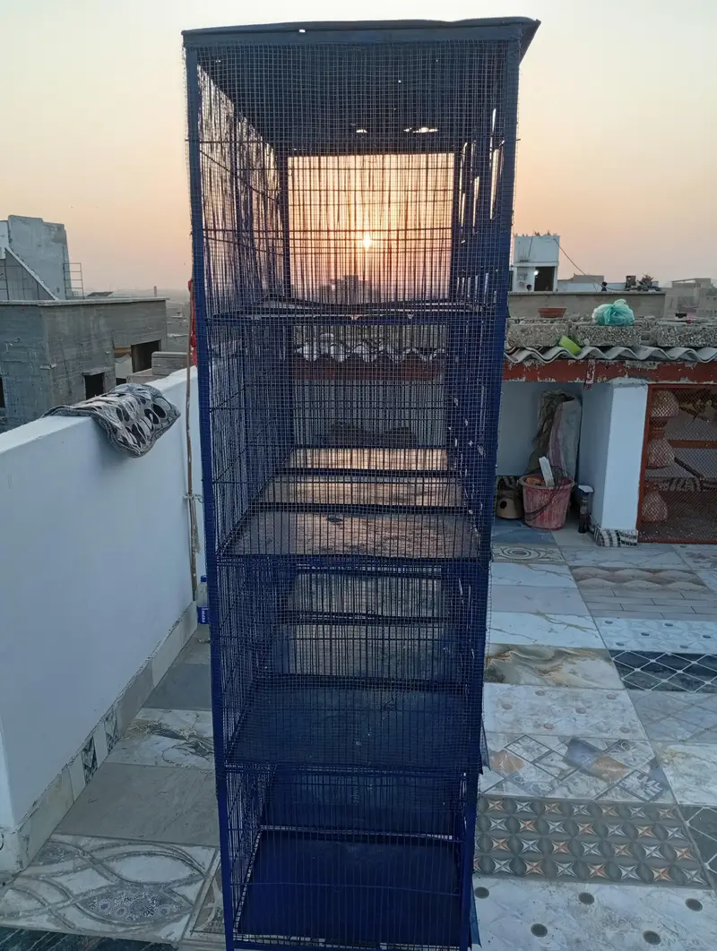 12porshion cage — photo 4