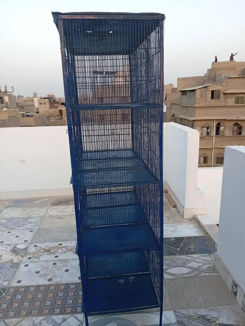 12porshion cage — photo 5