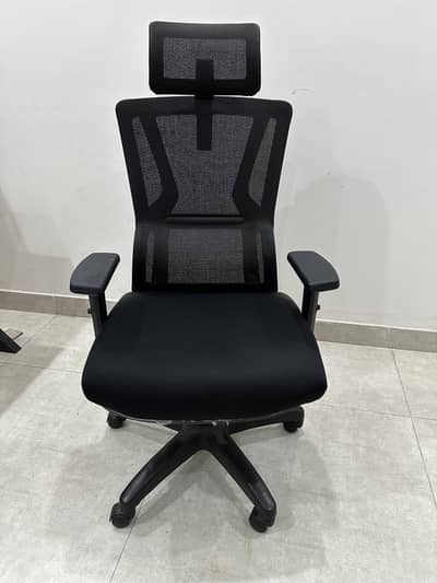 Ergonomic Mesh Office Chair