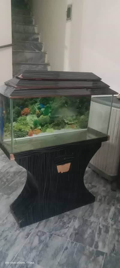 wooden aquarium stand (urgent sale)