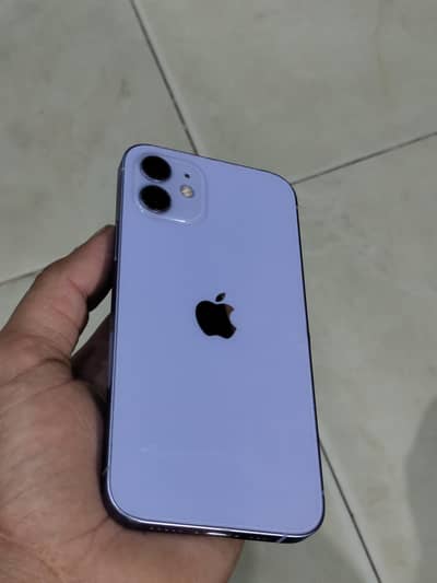 Apple iPhone 12