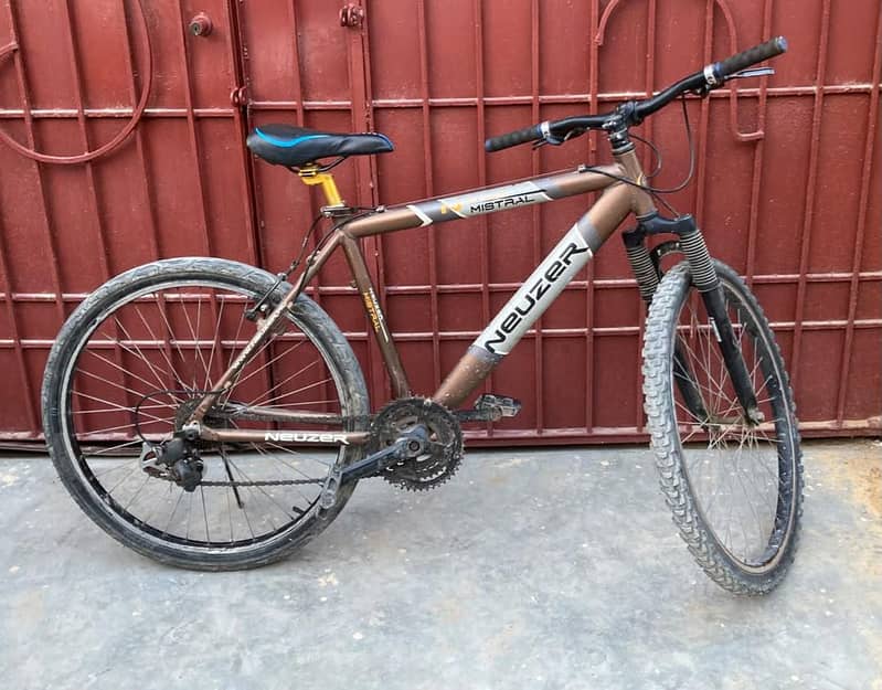 19" size cycle 1