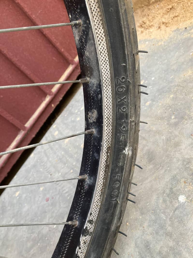 19" size cycle 2