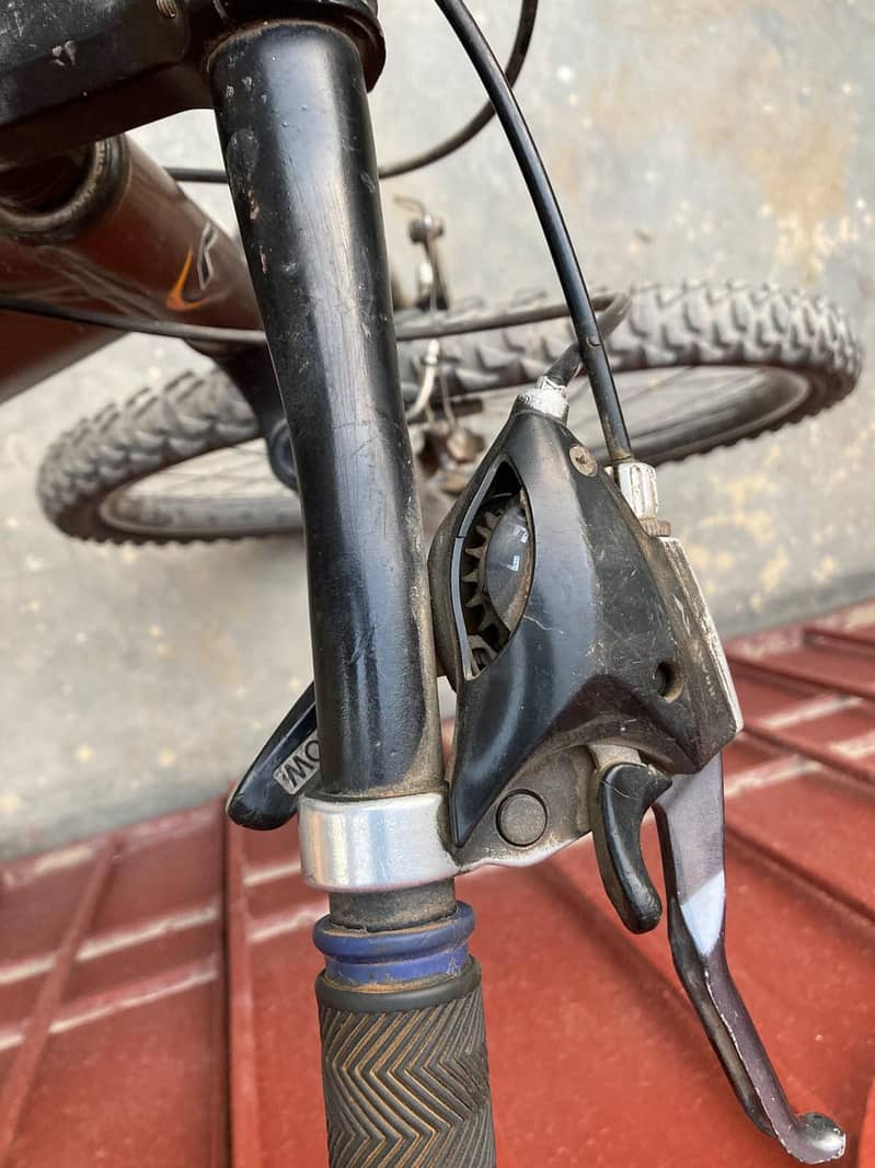 19" size cycle 3