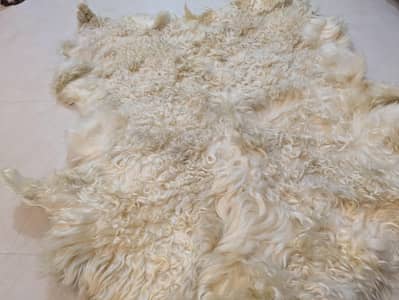 Rugs for sale