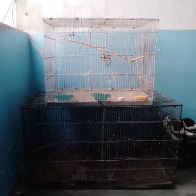 birds cage