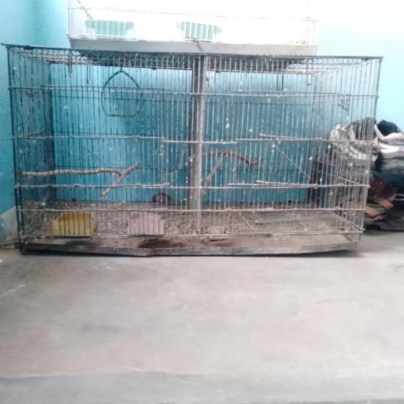 birds cage — photo 2