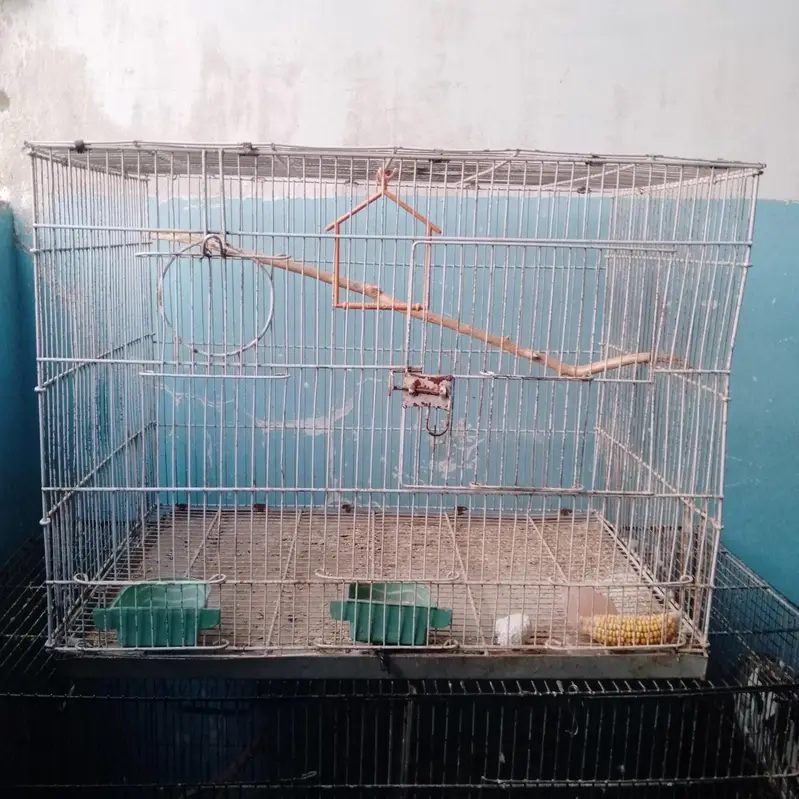 birds cage — photo 3