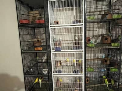 IRON CAGES WITH 4 PORTIONS