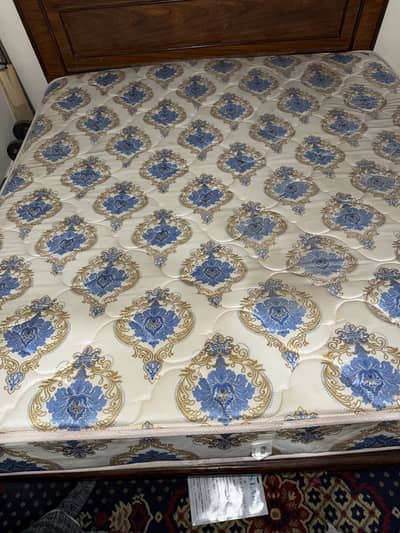 Master Molty Spring Foam In Best Condition