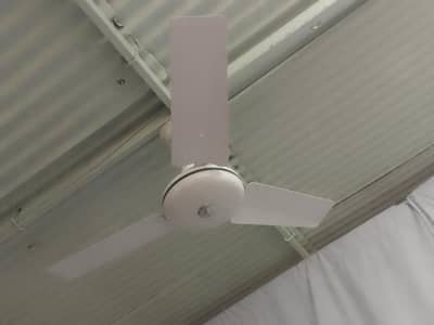 ceeling fan 3 pcs