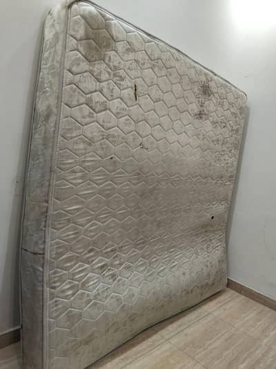 dimad spring wala