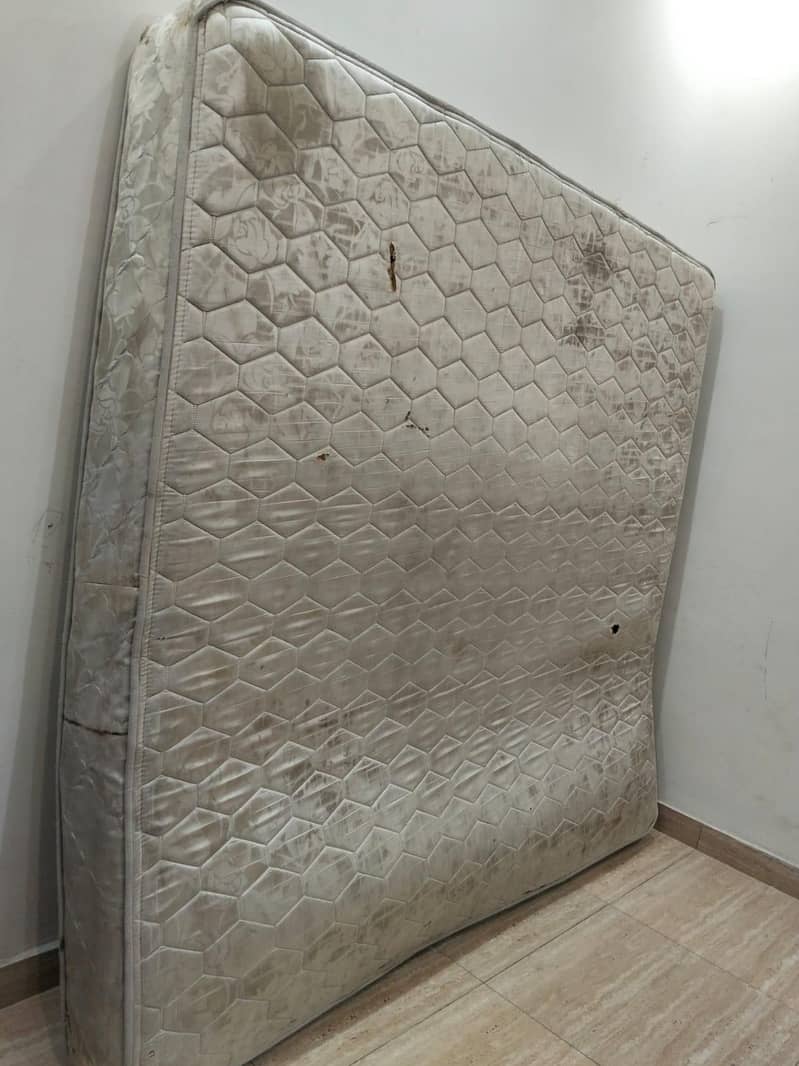 dimad spring wala 0