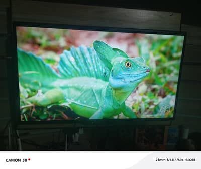 Samsung LED TV