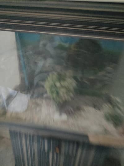 used aquarium for sale