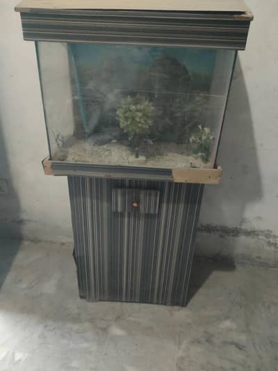 used aquarium for sale