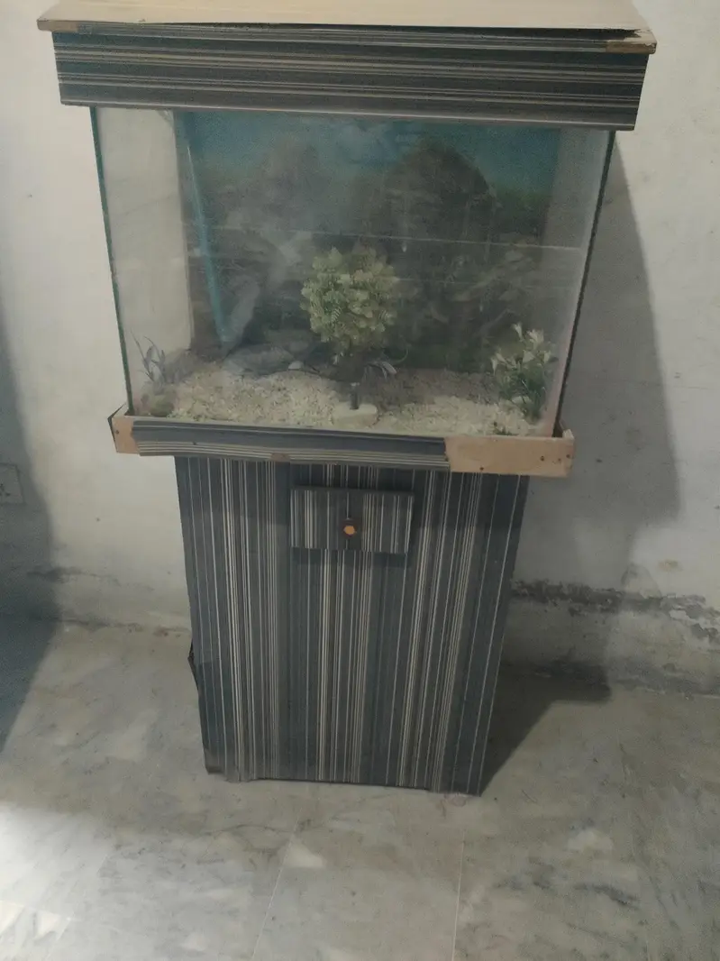 used aquarium for sale — photo 2