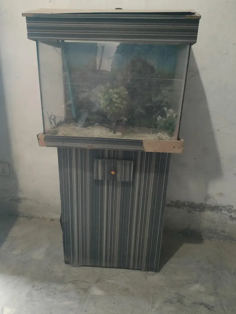 used aquarium for sale — photo 3