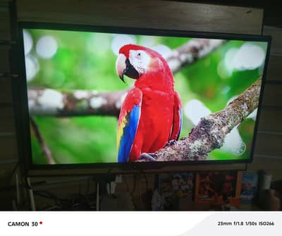 Samsung LED TV