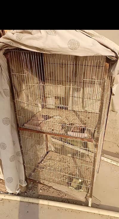 Cage 2 portion